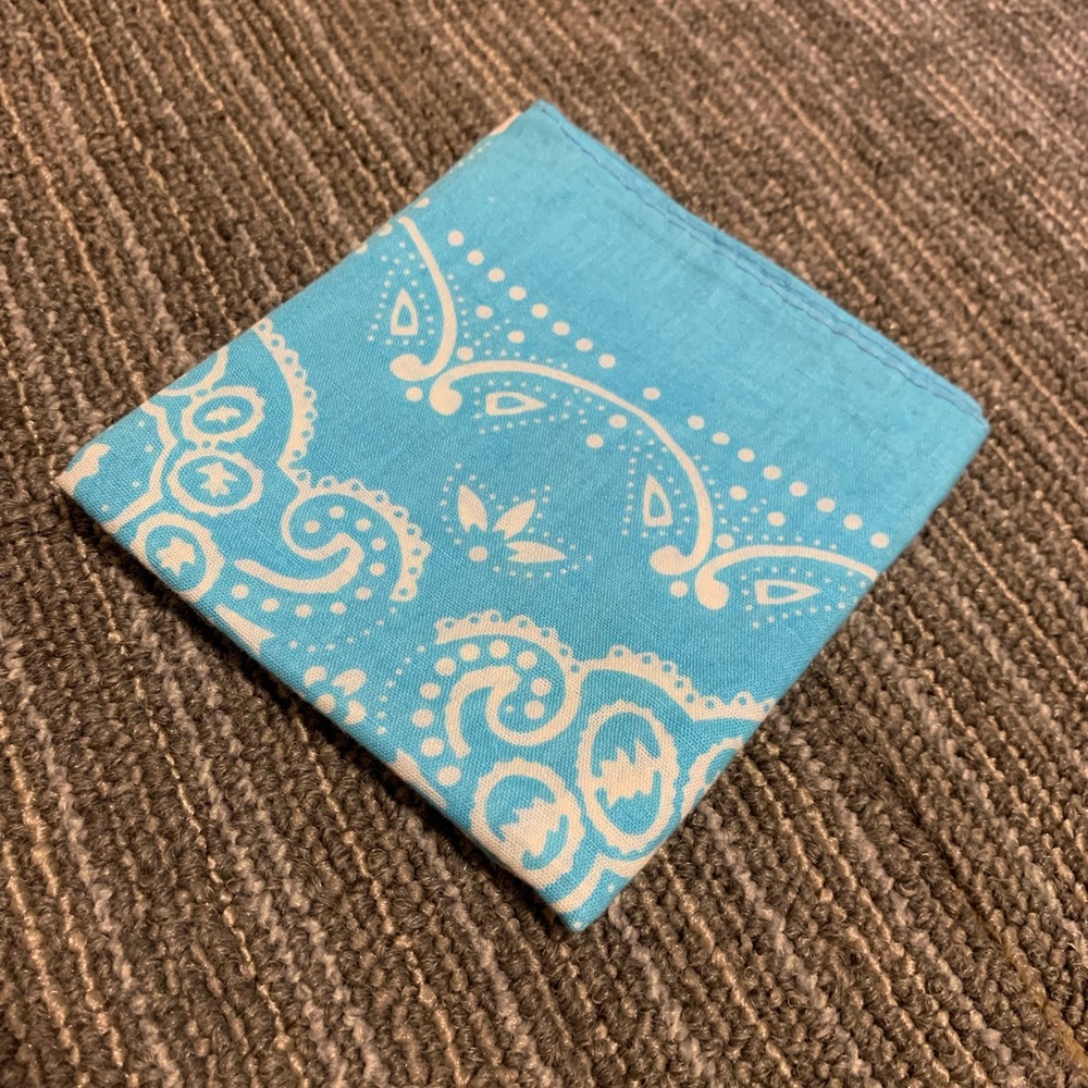 Blue Paisley Bandana